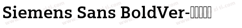 Siemens Sans BoldVer字体转换